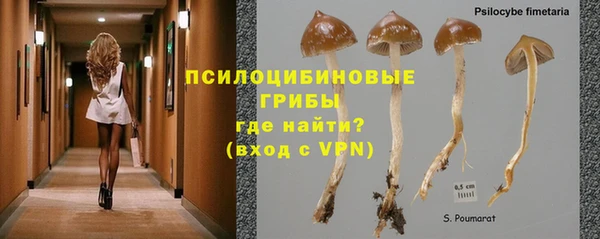 спайс Алексин