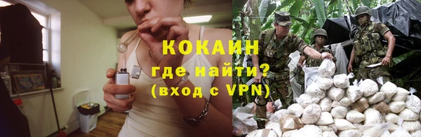 спайс Алексин