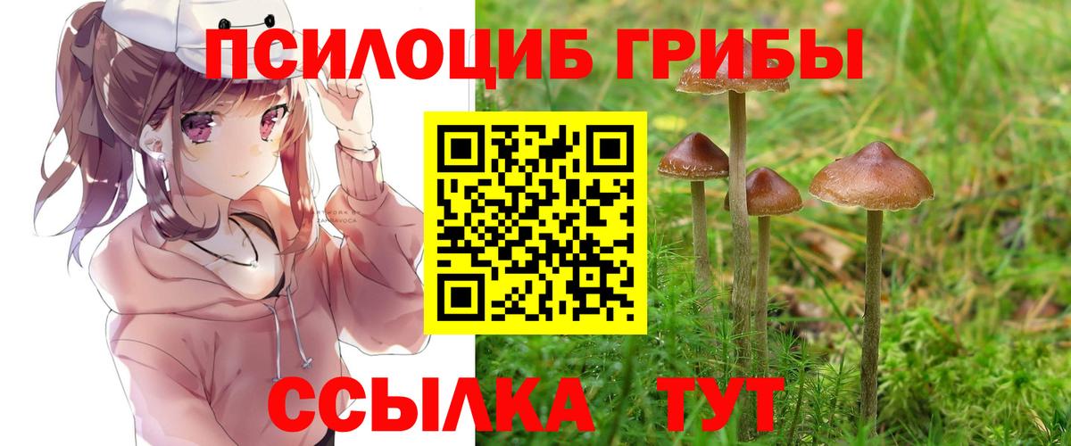 Галлюциногенные грибы мицелий  Вход с VPN  Лесосибирск  Псилоцибиновые грибы GOLDEN TEACHER 
